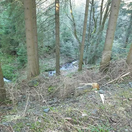 Daire Bij Paul In Niedersfeld